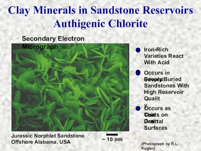 Secondary Electron Micrograph Jurassic Norphlet Sandstone Offshore Alabama, USA (Photograph by R.L.