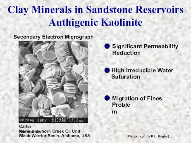 Secondary Electron Micrograph Carter Sandstone North Blowhorn Creek Oil Unit Black Warrior