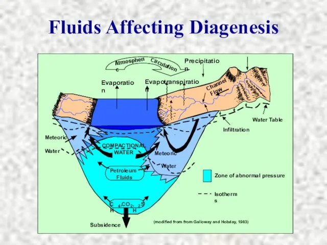Fluids Affecting Diagenesis