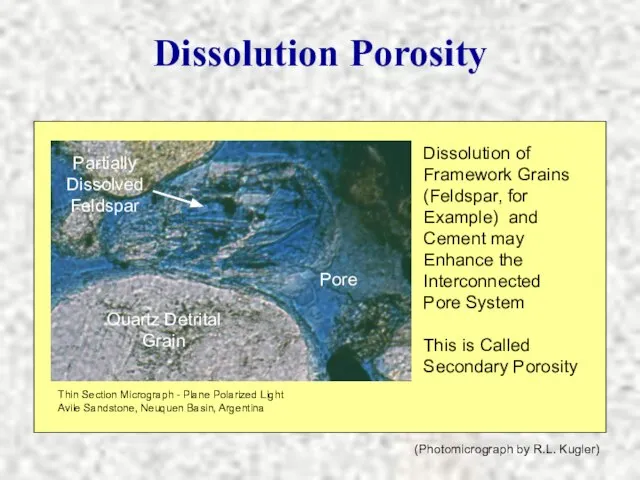 (Photomicrograph by R.L. Kugler) Dissolution Porosity