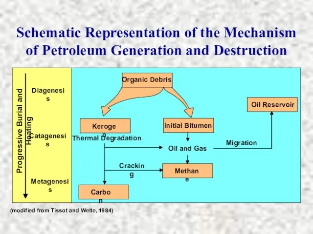 Schematic Representation of the Mechanism of Petroleum Generation and Destruction