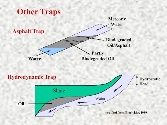 Asphalt Trap Water Meteoric Water Biodegraded Oil/Asphalt Partly Biodegraded Oil Hydrodynamic Trap