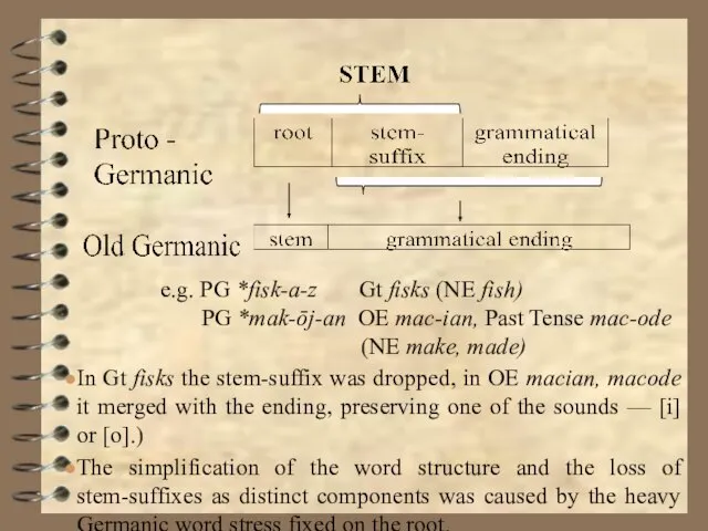 e.g. PG *fisk-a-z Gt fisks (NE fish) PG *mak-ōj-an OE mac-ian, Past