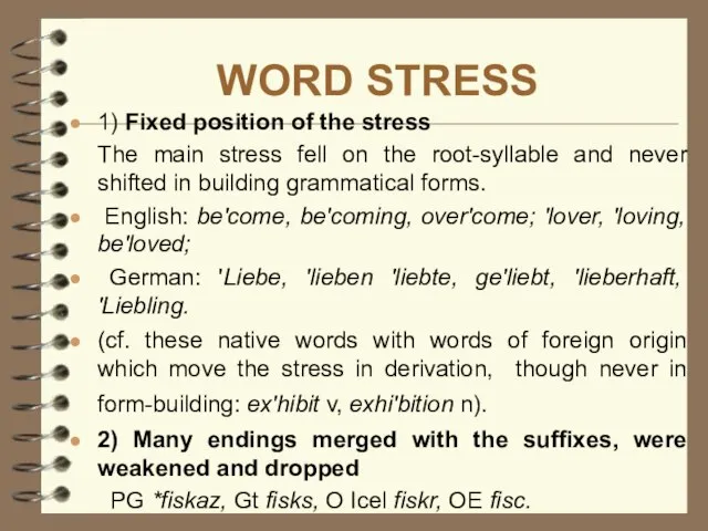 WORD STRESS 1) Fixed position of the stress The main stress fell