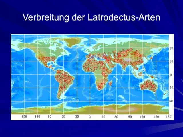 Verbreitung der Latrodectus-Arten