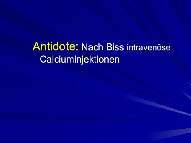 Antidote: Nach Biss intravenöse Calciuminjektionen