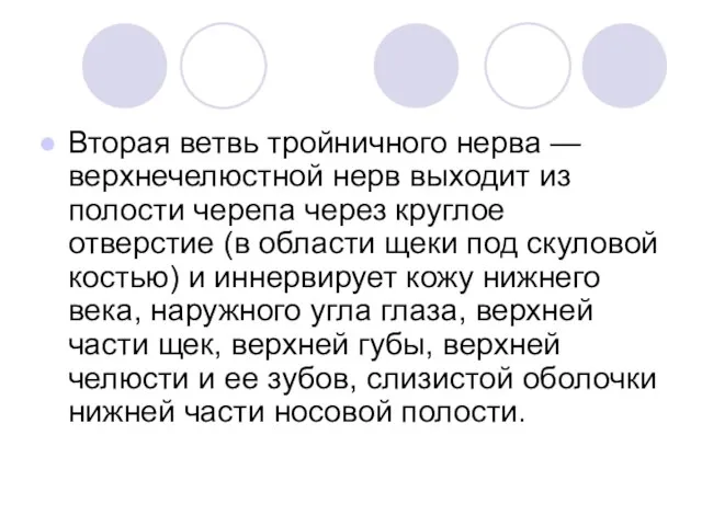 Вторая ветвь тройничного нерва — верхнечелюстной нерв выходит из полости черепа через