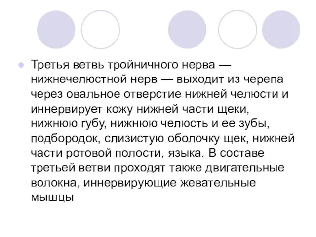 Третья ветвь тройничного нерва — нижнечелюстной нерв — выходит из черепа через