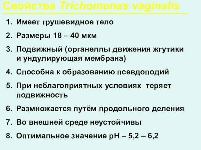 Свойства Trichomonas vaginalis Имеет грушевидное тело Размеры 18 – 40 мкм Подвижный