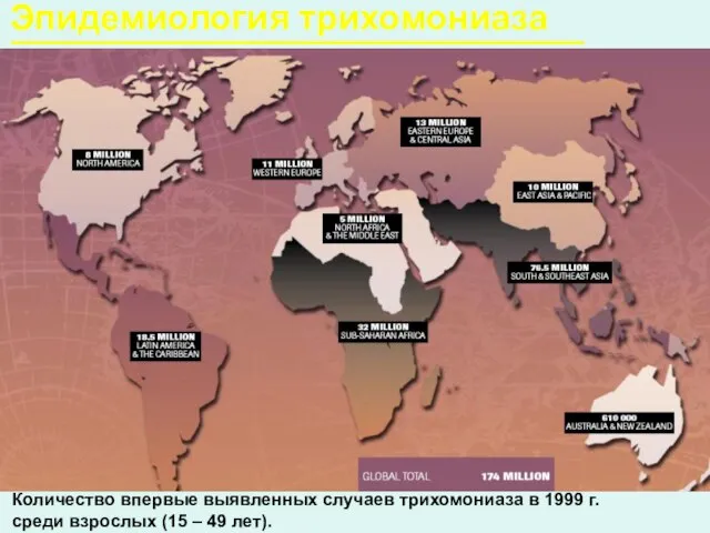 Эпидемиология трихомониаза Количество впервые выявленных случаев трихомониаза в 1999 г. среди взрослых (15 – 49 лет).