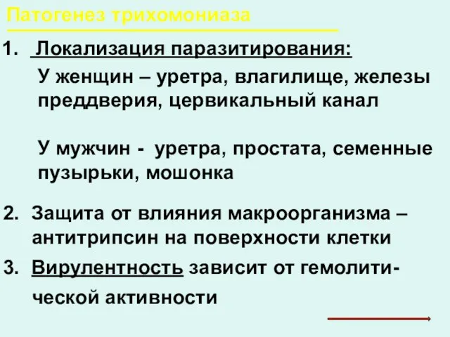 Патогенез трихомониаза Локализация паразитирования: У женщин – уретра, влагилище, железы преддверия, цервикальный