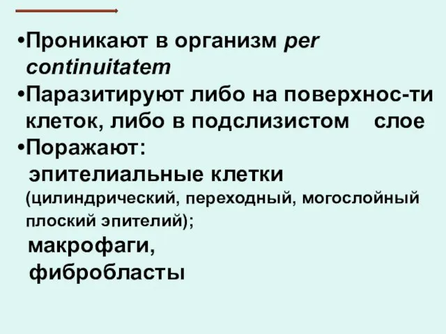 Проникают в организм per continuitatem Паразитируют либо на поверхнос-ти клеток, либо в