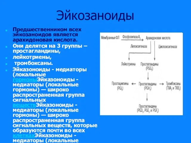 Эйкозаноиды Предшественником всех эйкозаноидов является арахидоновая кислота. Они делятся на 3 группы