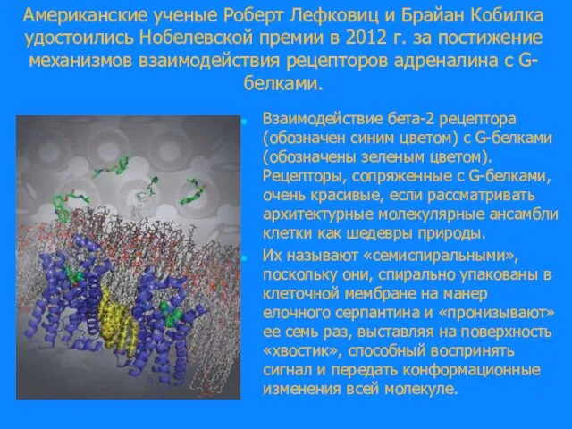 Американские ученые Роберт Лефковиц и Брайан Кобилка удостоились Нобелевской премии в 2012