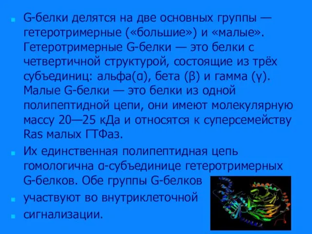 G-белки делятся на две основных группы — гетеротримерные («большие») и «малые». Гетеротримерные