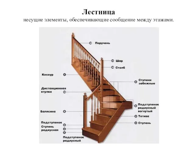 Лестница несущие элементы, обеспечивающие сообщение между этажами.