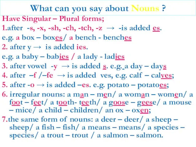 What can you say about Nouns ? Have Singular – Plural forms;