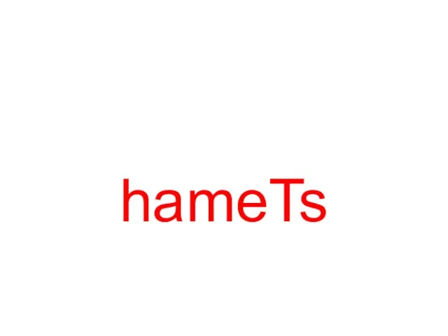 hameTs