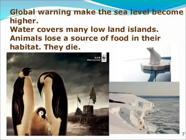 Global warning make the sea level become higher. Water covers many low