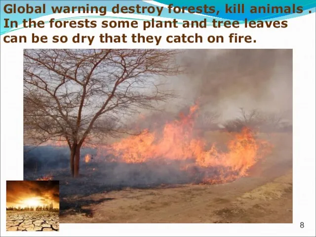 Global warning destroy forests, kill animals . In the forests some plant