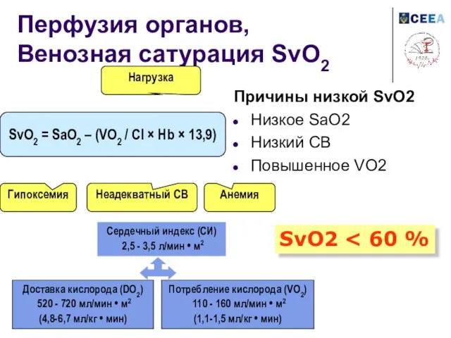 Перфузия органов, Венозная сатурация SvO2 Причины низкой SvO2 Низкое SaO2 Низкий СВ