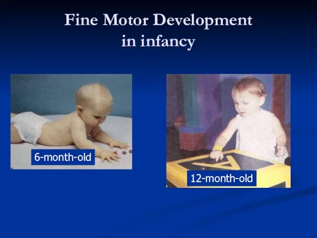 Fine Motor Development in infancy 6-month-old 12-month-old