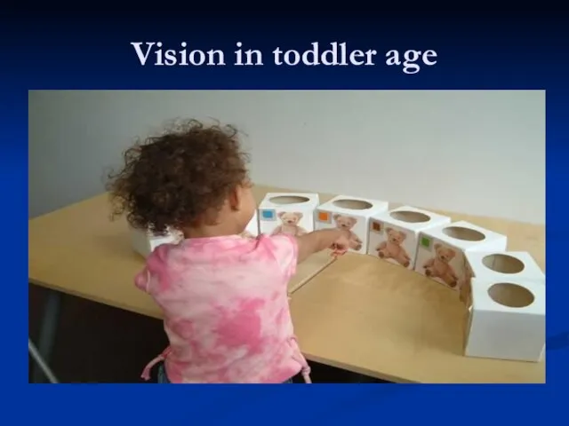 Vision in toddler age