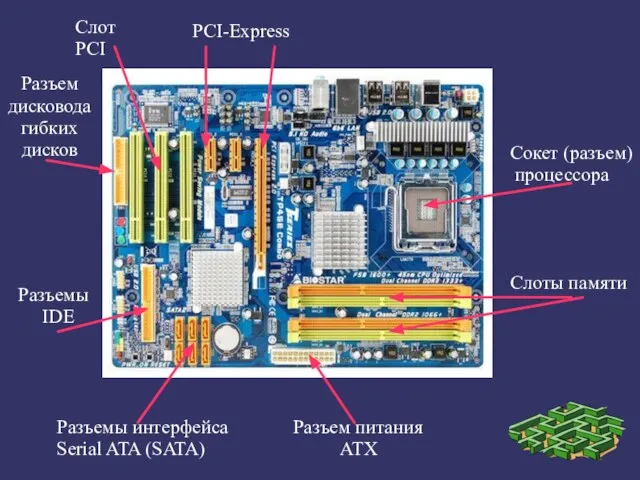 Слот PCI Разъемы IDE PCI-Express Слоты памяти Сокет (разъем) процессора Разъем питания