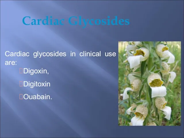 Cardiac Glycosides Cardiac glycosides in clinical use are: Digoxin, Digitoxin Ouabain.