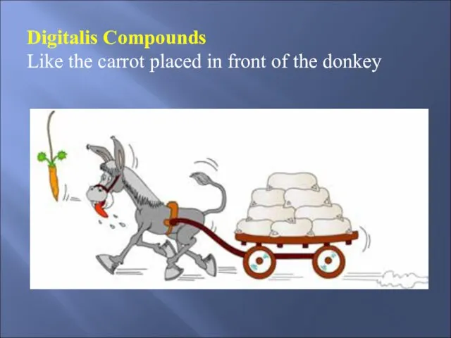 Digitalis Compounds Like the carrot placed in front of the donkey