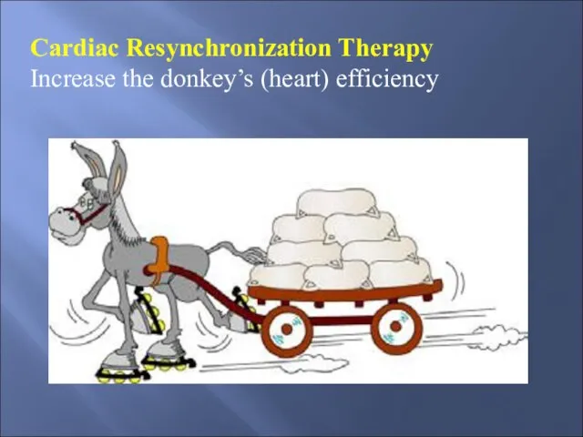 Cardiac Resynchronization Therapy Increase the donkey’s (heart) efficiency