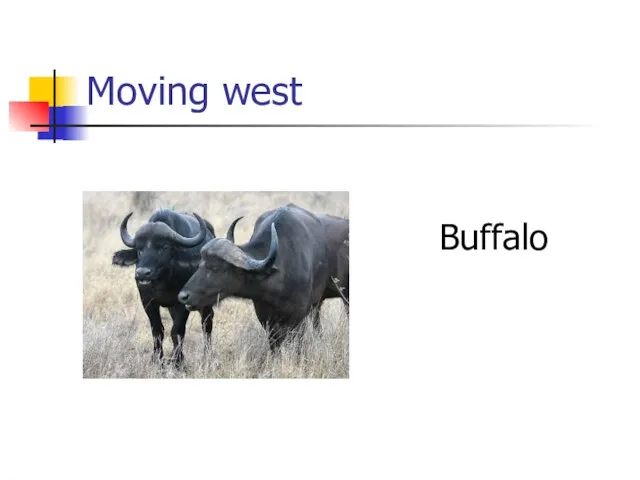 Moving west Buffalo