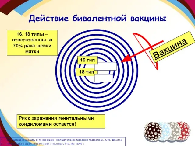 Действие бивалентной вакцины 18 тип 16, 18 типы – ответственны за 70%