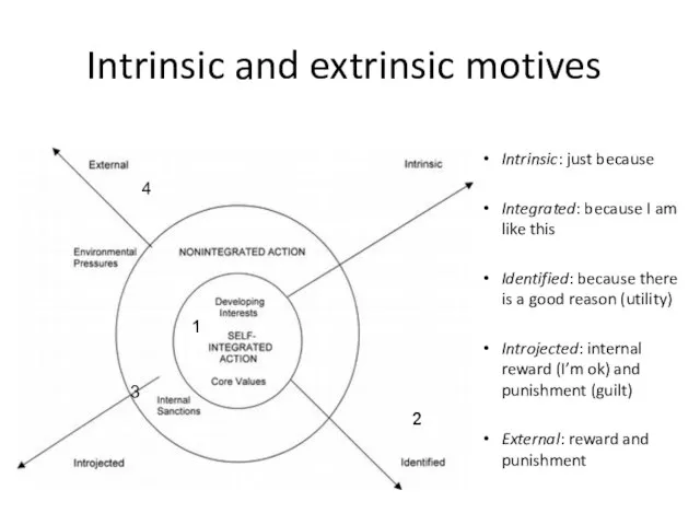 Intrinsic and extrinsic motives Intrinsic: just because Integrated: because I am like
