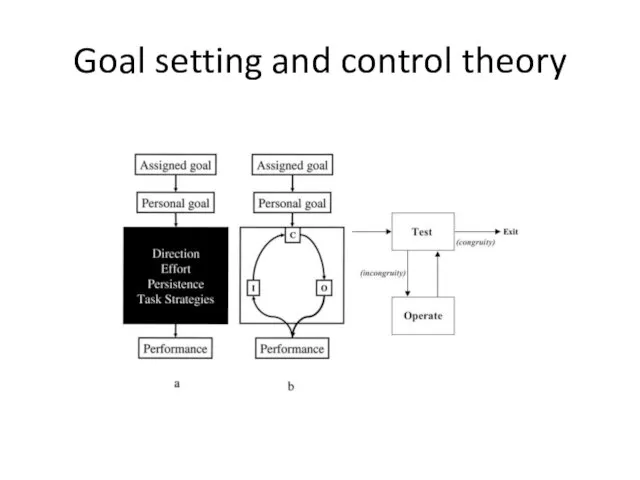 Goal setting and control theory