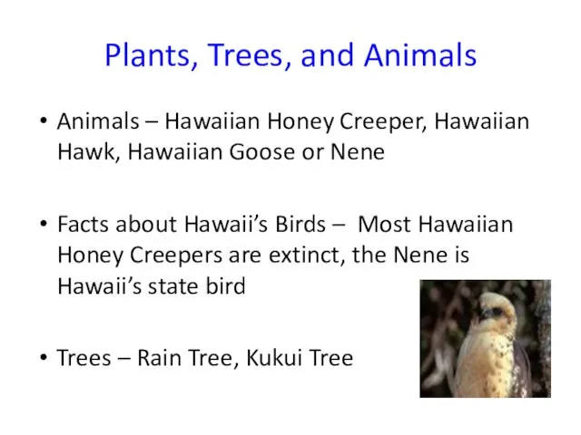 Plants, Trees, and Animals Animals – Hawaiian Honey Creeper, Hawaiian Hawk, Hawaiian