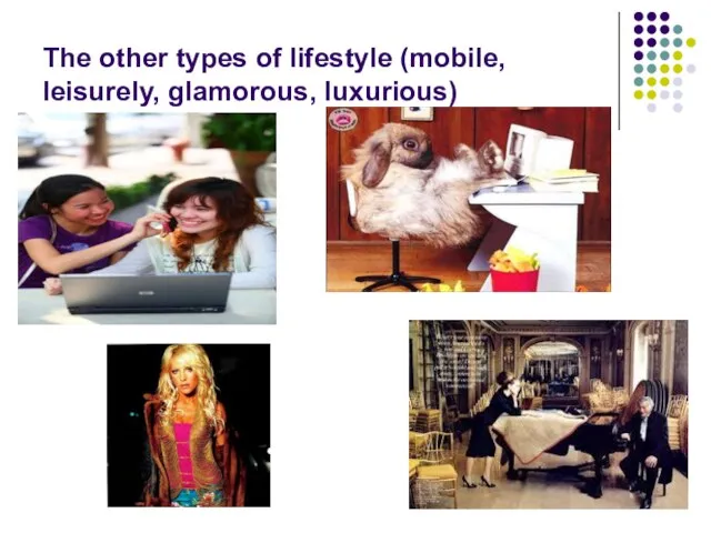 The other types of lifestyle (mobile, leisurely, glamorous, luxurious)