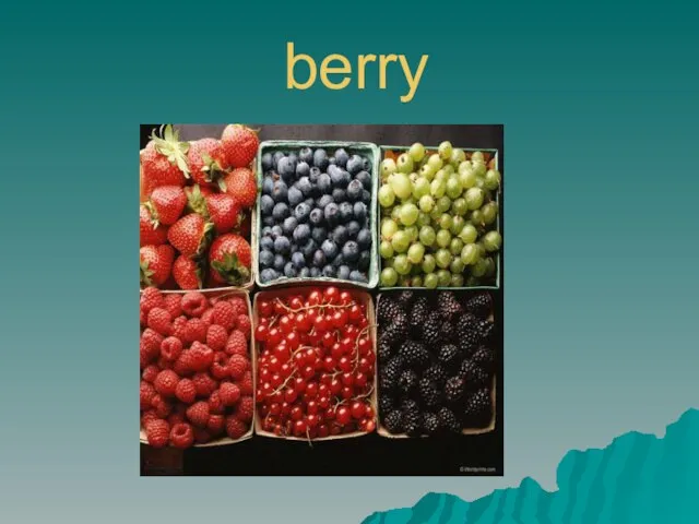 berry