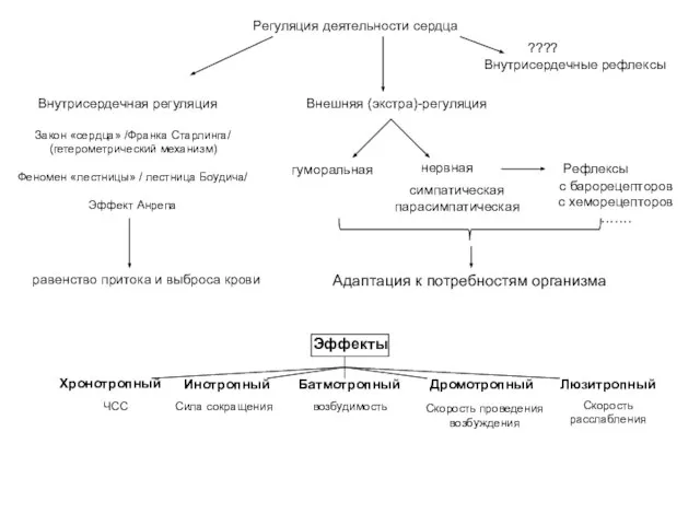 Регуляция деятельности сердца Внутрисердечная регуляция Внешняя (экстра)-регуляция симпатическая парасимпатическая гуморальная нервная Рефлексы