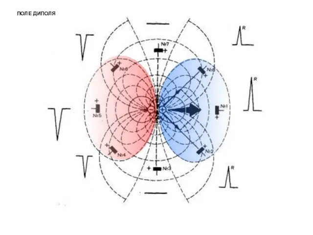 ПОЛЕ ДИПОЛЯ