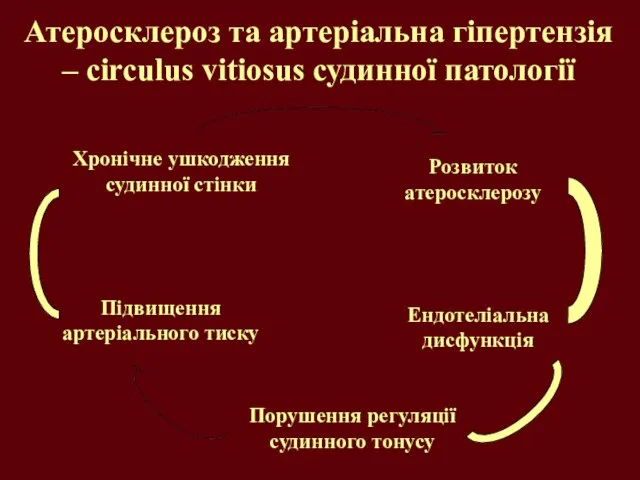 Атеросклероз та артеріальна гіпертензія – circulus vitiosus судинної патології Хронічне ушкодження судинної