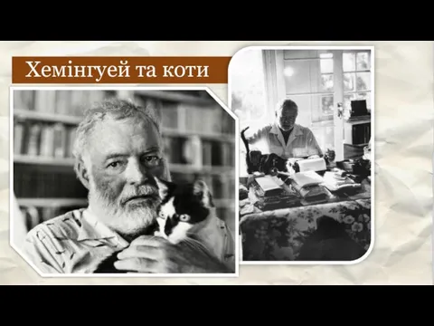 Хемінгуей та коти