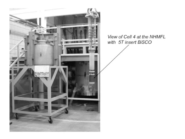 View of Cell 4 at the NHMFL with 5T insert BiSCO