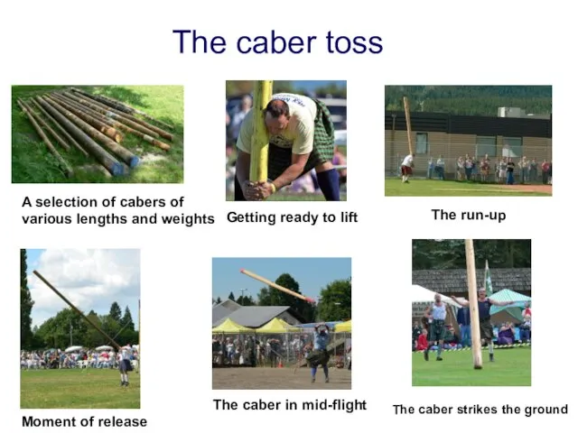 The caber toss A selection of cabers of various lengths and weights