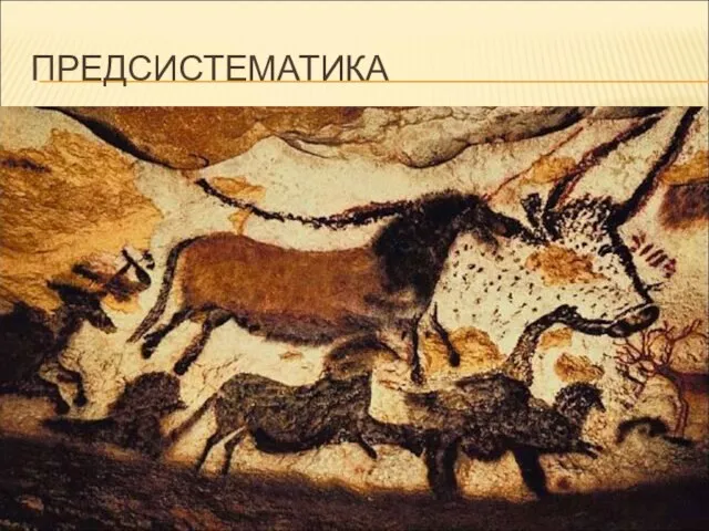 ПРЕДСИСТЕМАТИКА