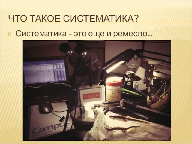 ЧТО ТАКОЕ СИСТЕМАТИКА? Систематика - это еще и ремесло...