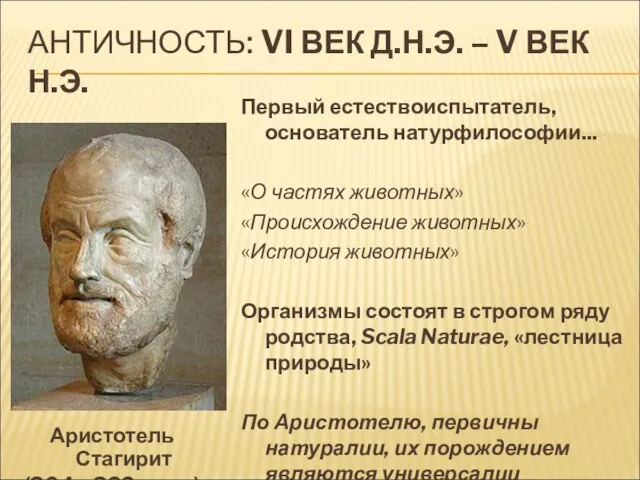 АНТИЧНОСТЬ: VI ВЕК Д.Н.Э. – V ВЕК Н.Э. Первый естествоиспытатель, основатель натурфилософии...