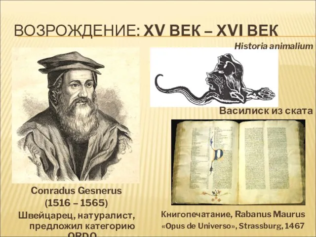 ВОЗРОЖДЕНИЕ: ХV ВЕК – ХVI ВЕК Conradus Gesnerus (1516 – 1565) Швейцарец,