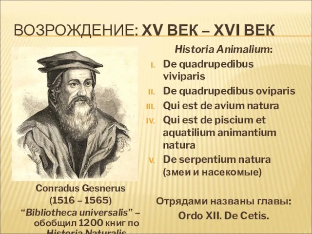 ВОЗРОЖДЕНИЕ: ХV ВЕК – ХVI ВЕК Conradus Gesnerus (1516 – 1565) “Bibliotheca