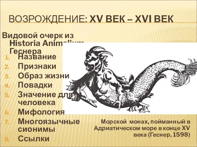 ВОЗРОЖДЕНИЕ: ХV ВЕК – ХVI ВЕК Видовой очерк из Historia Animalium Геснера